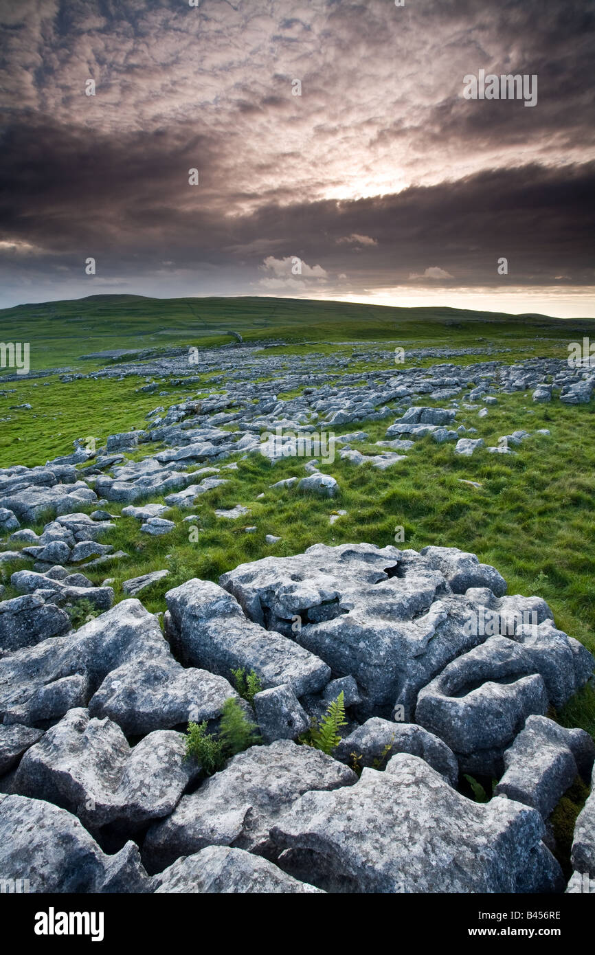 Limestone Pavements, Yorkshire Dales Stock Photo Alamy