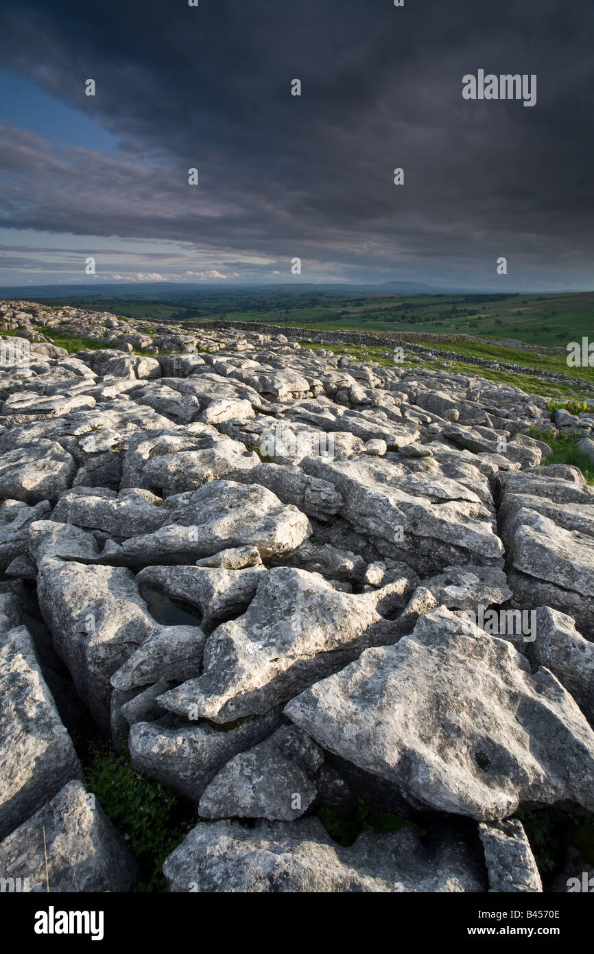 Limestone Pavements, Yorkshire Dales Stock Photo Alamy