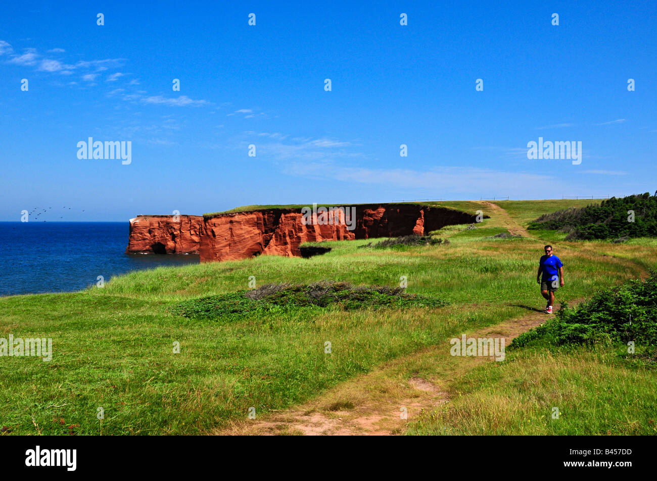 Hiker Cliffs Belle Anse Island of Cap Aux Meules Iles de La Madeleine ...