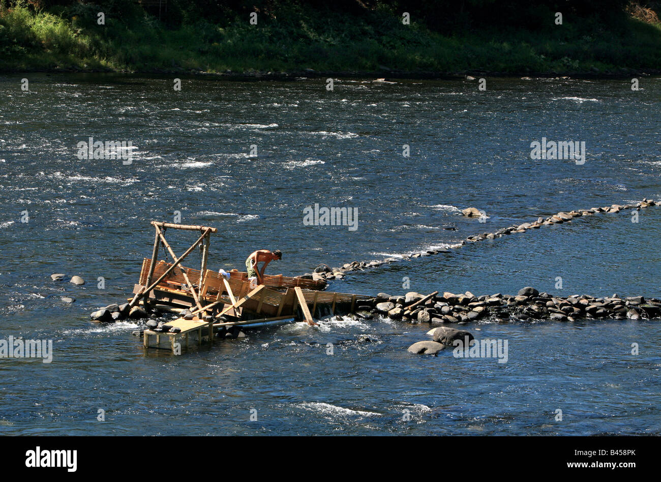 An eel weir on the Delaware River between Pennsylvania An eel man is