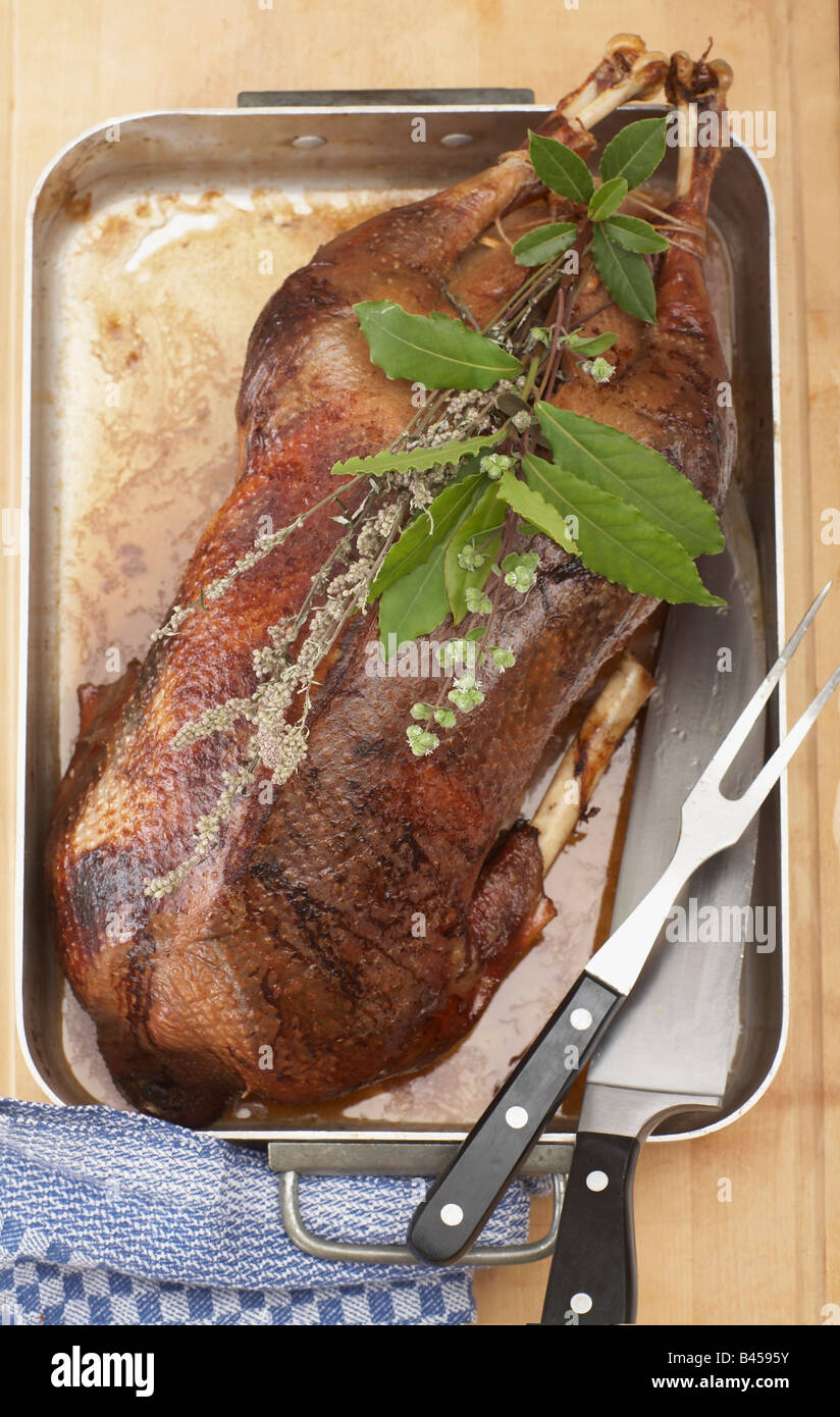 Roasted goose in roasting tray, elevated view Stock Photo Alamy