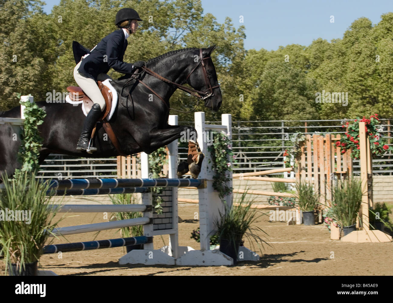 Horse and rider clearing a fence at a show jumping event Stock Photo ...