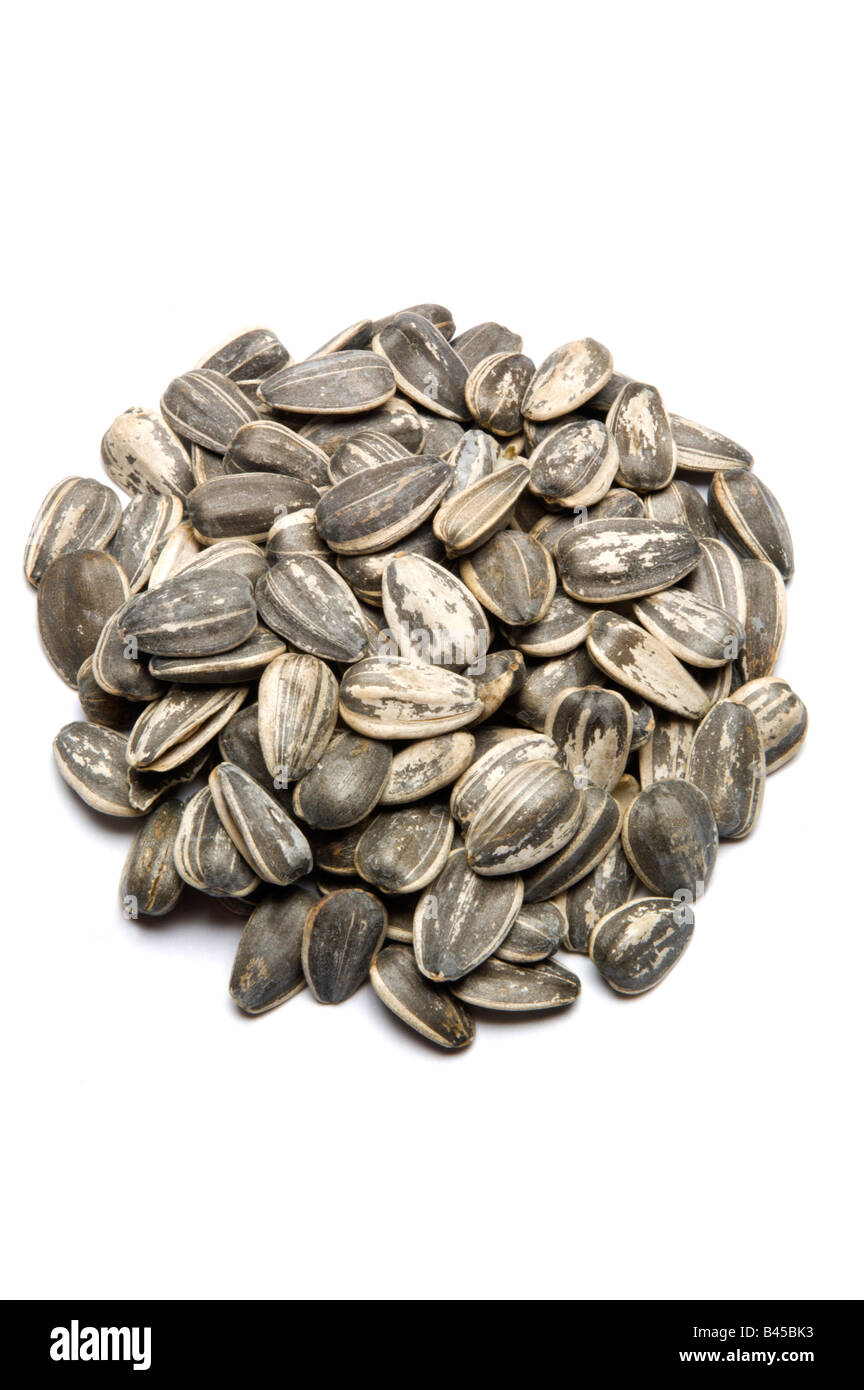 Sunflower seeds in shell on white Stock Photo Alamy