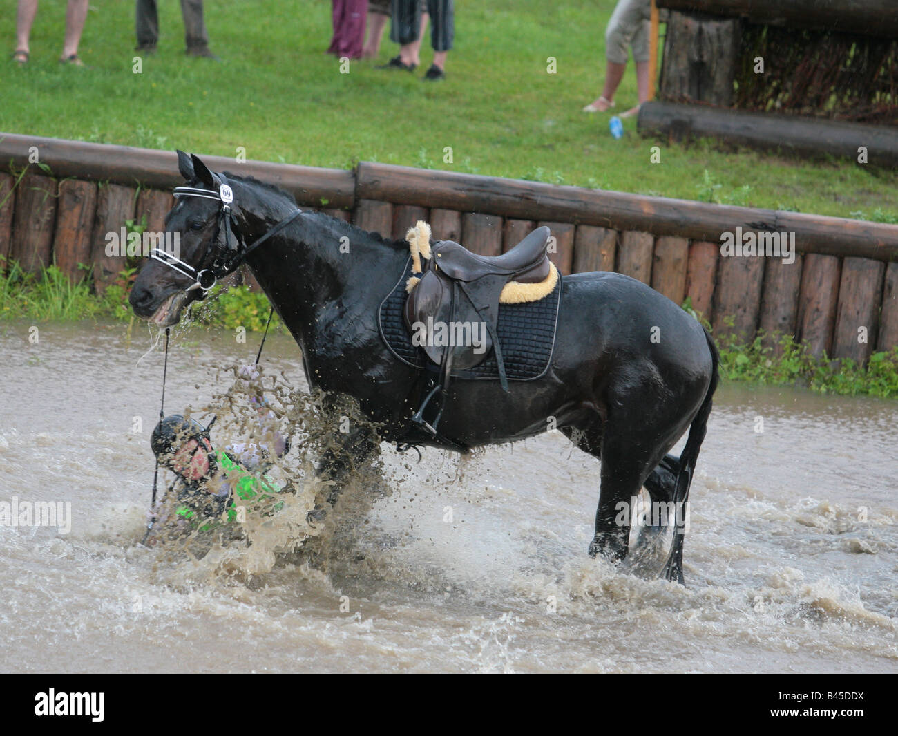 Falling waters horse camp hot sale