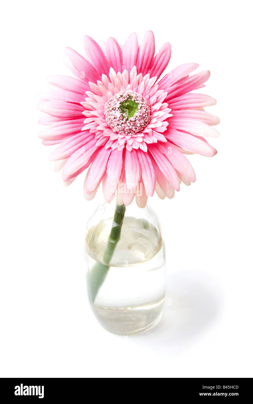 Fake pink daisy Stock Photo