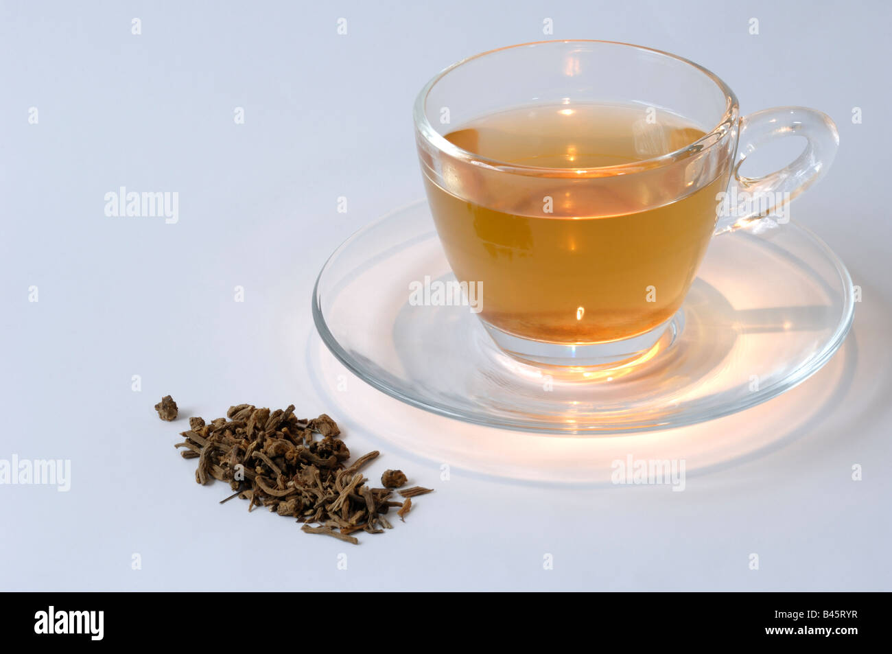 Valerian (Valeriana sp.), dried roots and a cup of tea, studio picture Stock Photo