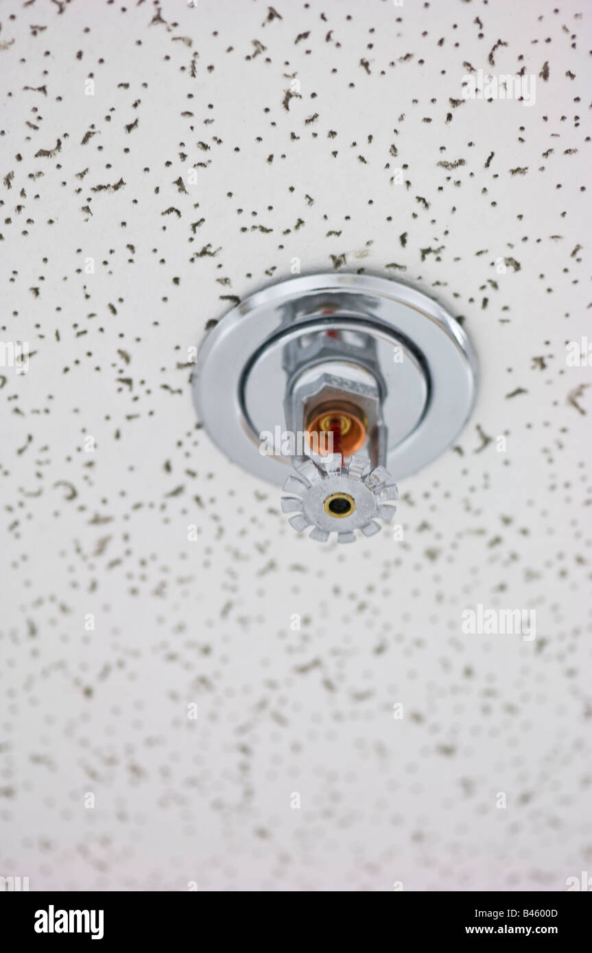 fire sprinkler head in drop ceiling Stock Photo - Alamy