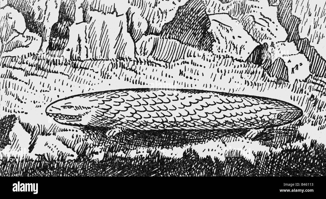 superstition, mythical creatures, Tatzelwurm, wood engraving after drawing by G. von Schultes, 1836 Alpine Region, 19th century, historic, historical, Stock Photo