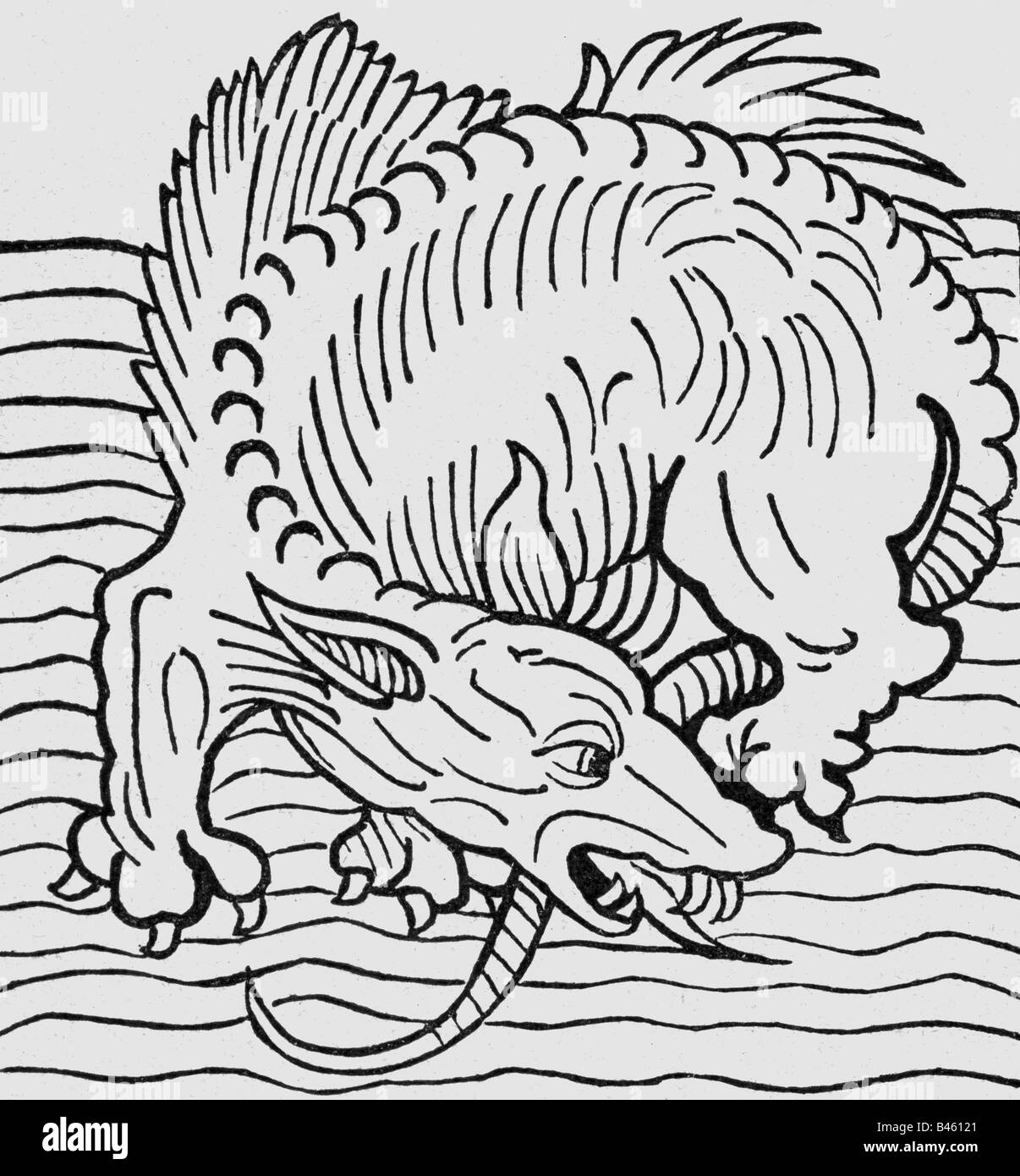 superstition, mythical creatures, sea-dragon, woodcut, 'Hortus sanitatis', printed by Jakob Meydenbach, Mainz, 1491, , Stock Photo