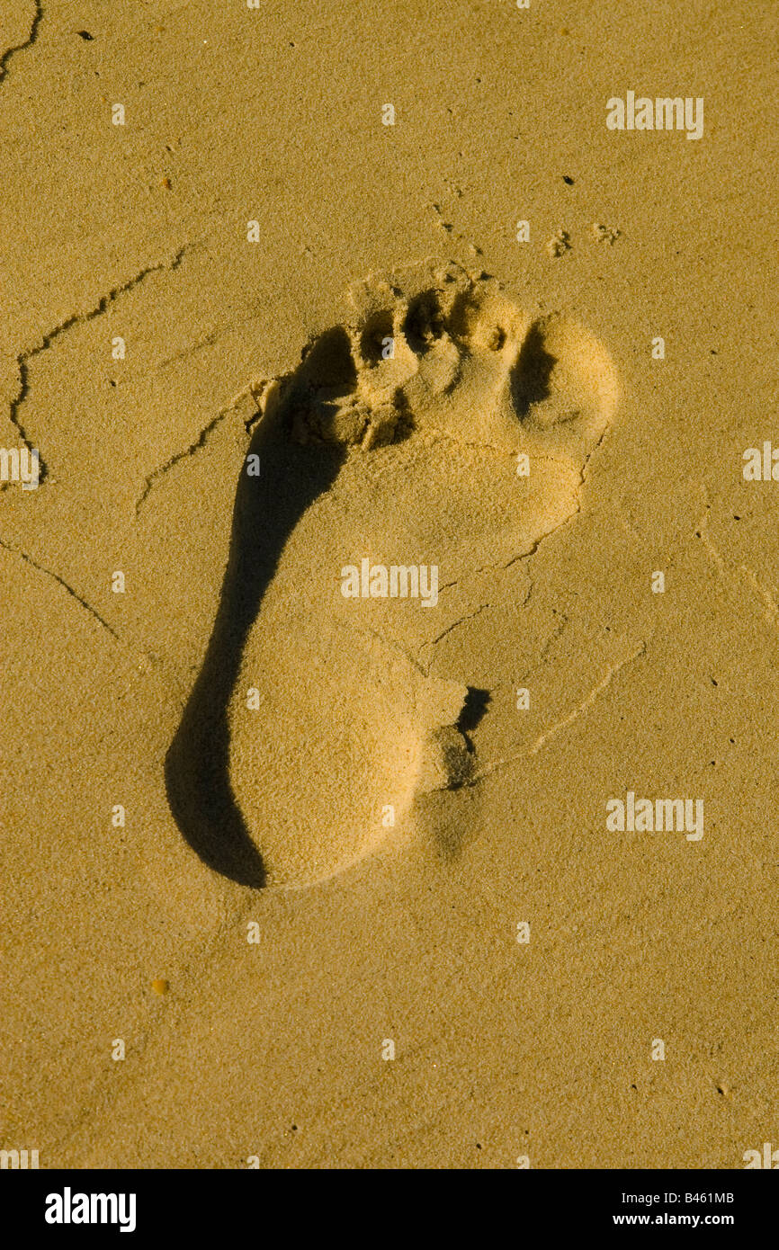 left footprint in the sand Stock Photo Alamy
