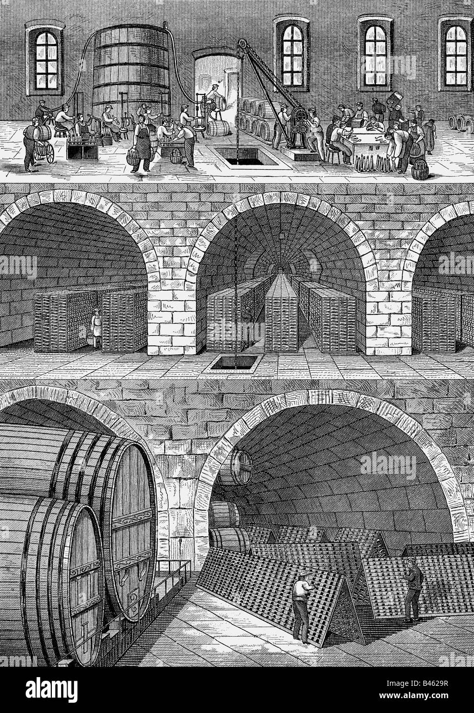 alcohol, wine, storage, cellar of a sparkling wine winery, wood