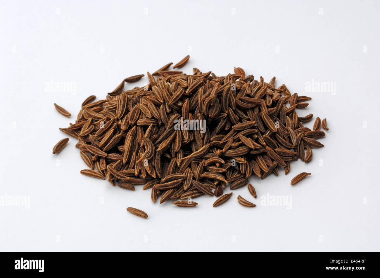 Caraway (Carum carvi), seeds, studio picture Stock Photo