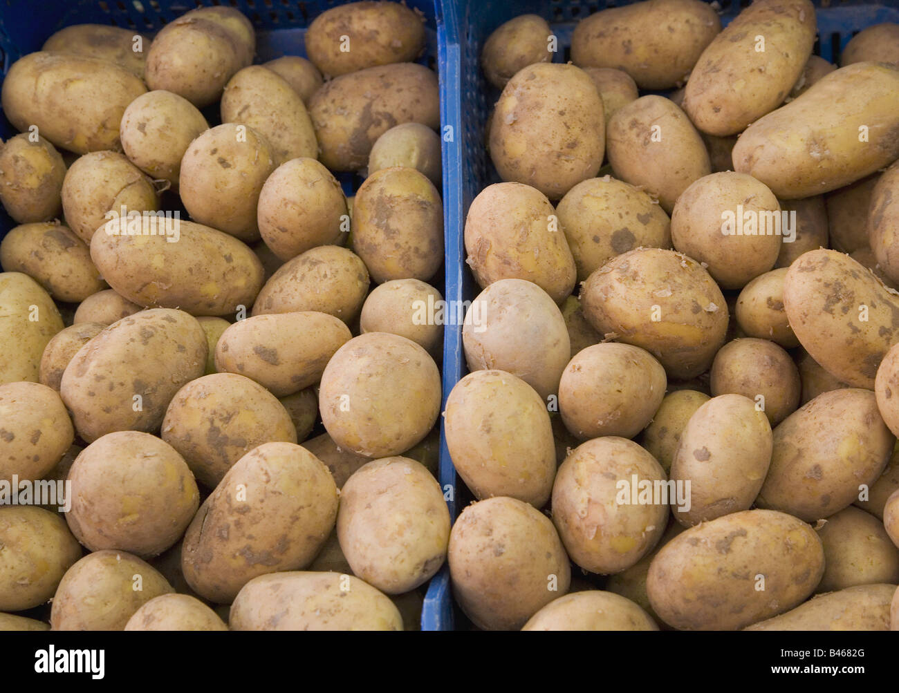 Box of fresh potatoes Stock Photo Alamy