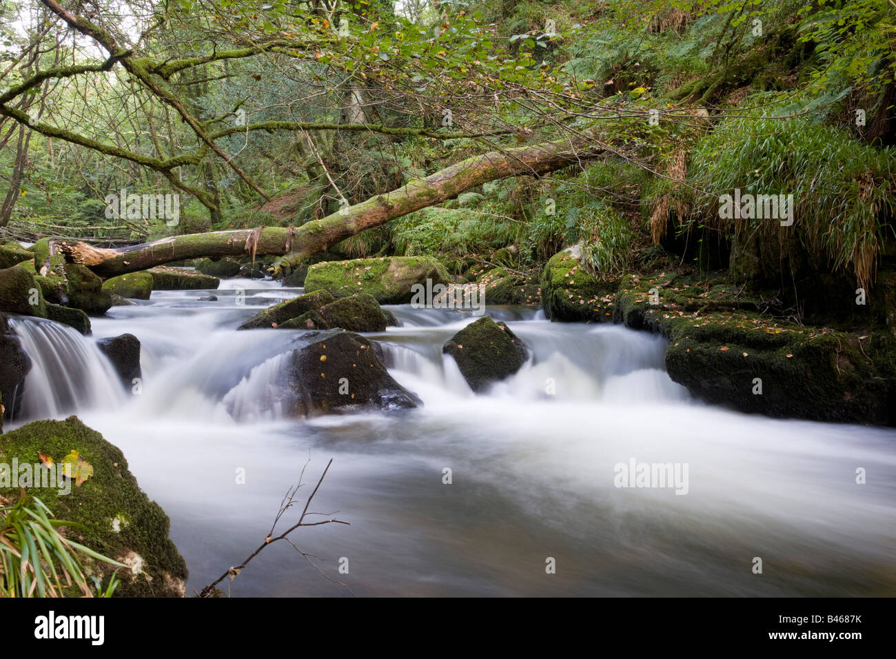 Golitha falls on Bodmin Moor Stock Photo - Alamy