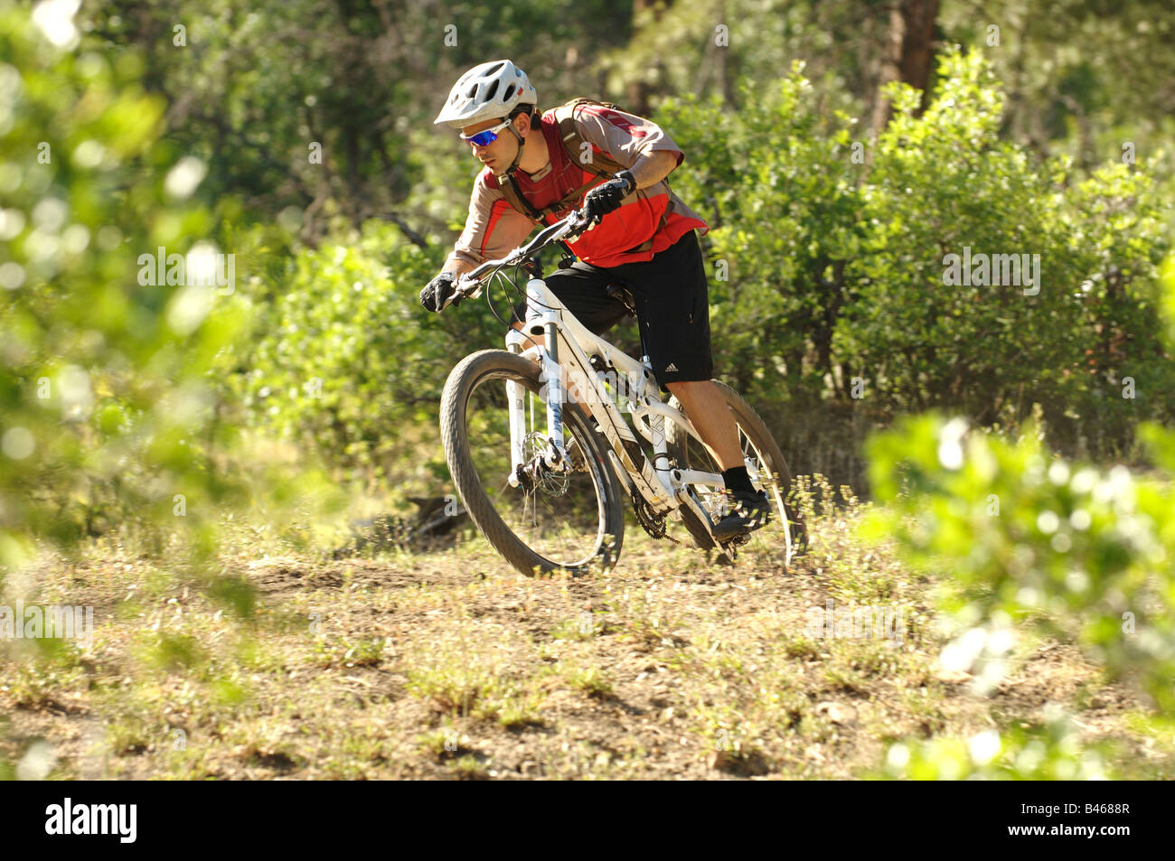 Mountain biking in Durango, Colorado,USA Stock Photo Alamy