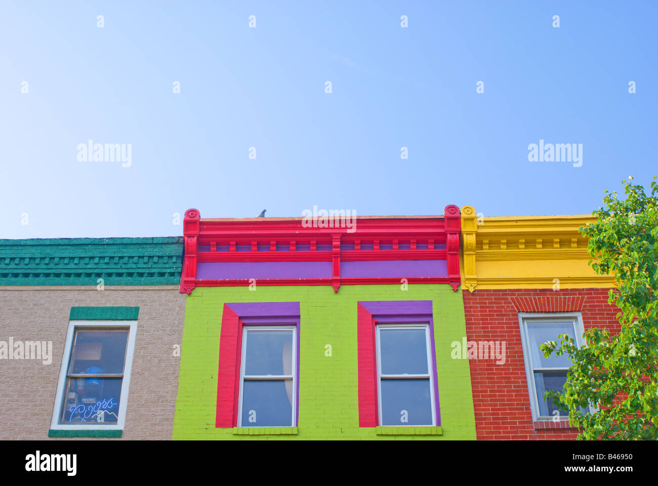 Brightly colored row houses in Canton section of Baltimore, Maryland