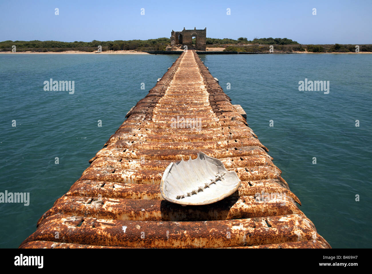 Turtle shell on a jetty, Massawa, Eritrea Stock Photo - Alamy