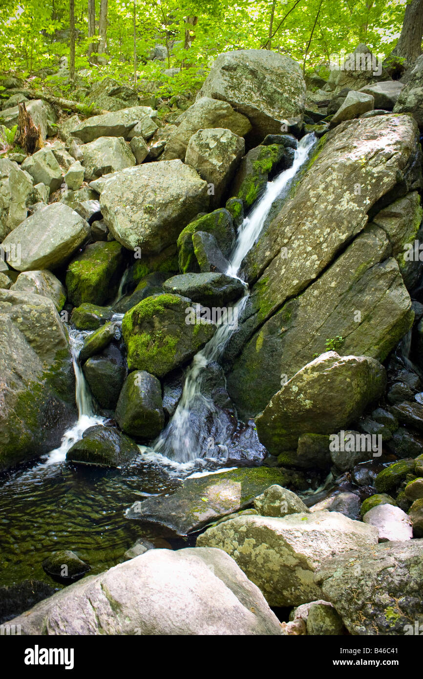 A beautiful waterfall flowing into a stream in the woods Stock Photo ...