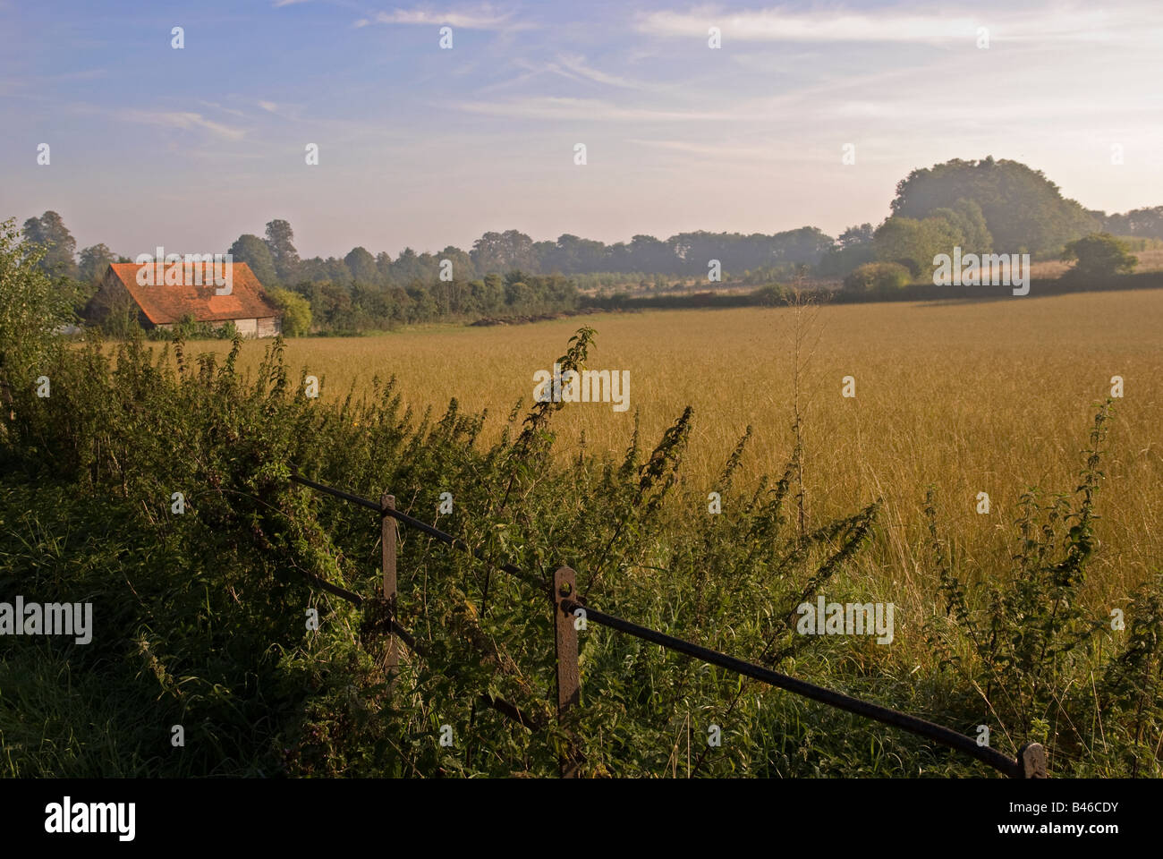 A barn and field in Great Bookham, Surrey, England Stock Photo Alamy
