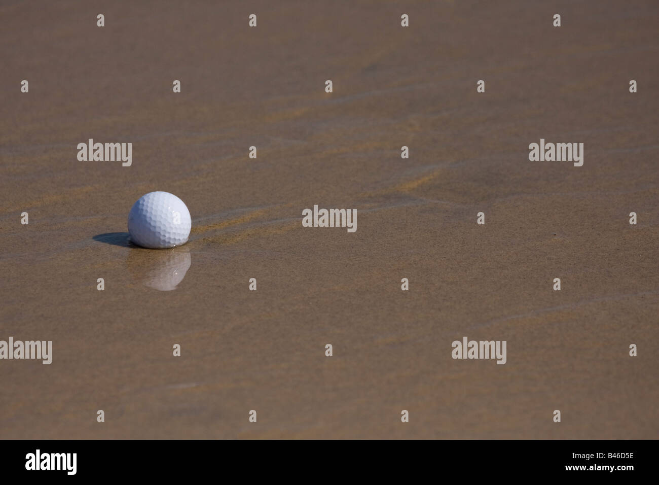 Washed up golf ball on the beach at Maslin Beach South Australia Stock