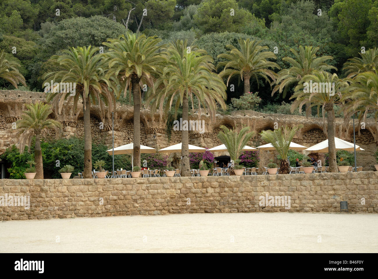 Palm trees in Park Guell in Barcelona Spain Stock Photo