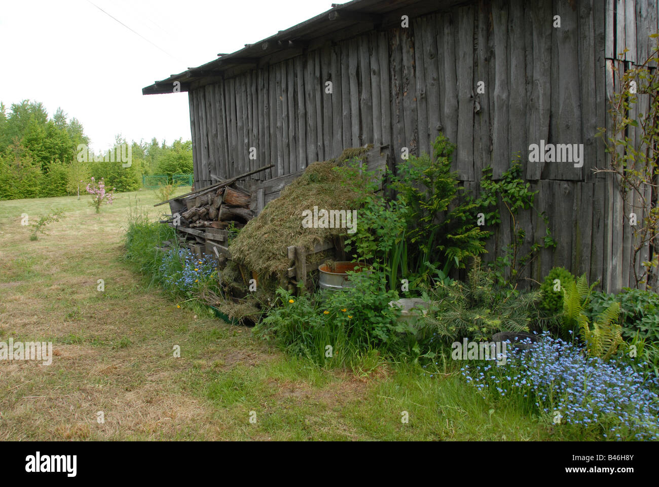 Old wooden shed at the back of front Stock Photo - Alamy