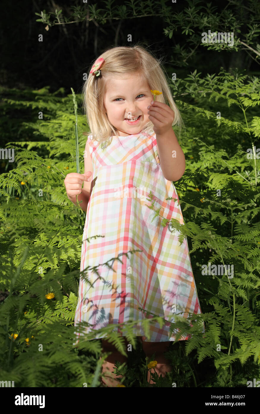 little blonde girl outdoors picking wildflowers Stock Photo