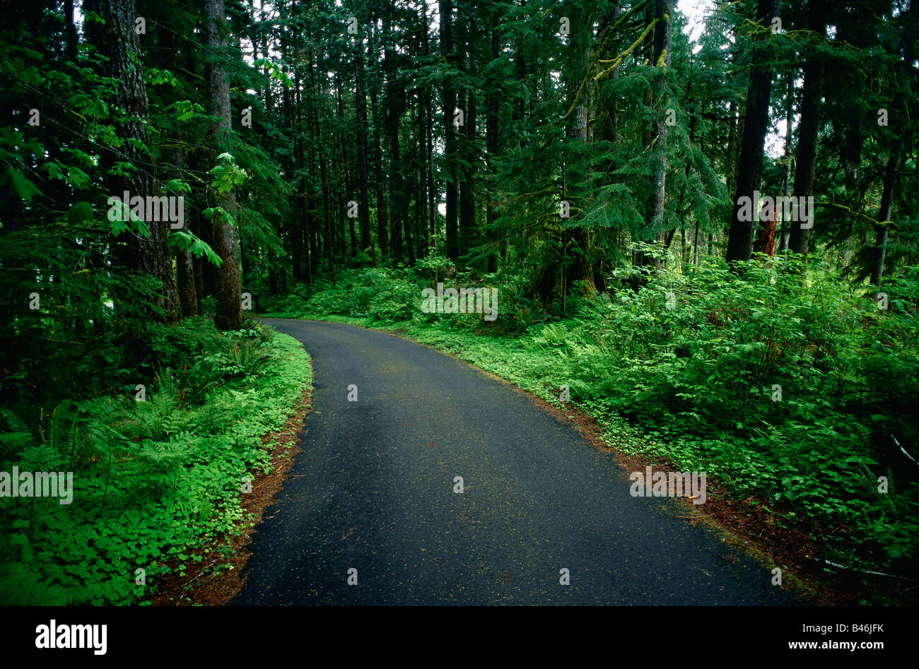 Road, Columbia River Oregon, USA Stock Photo Alamy