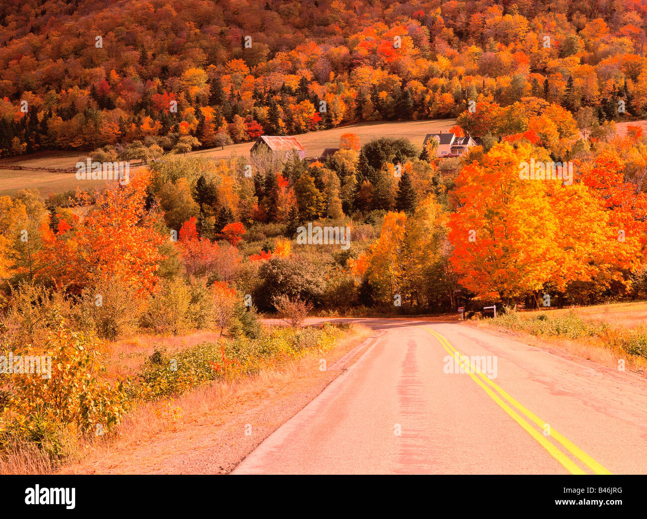 Margaree valley hires stock photography and images Alamy