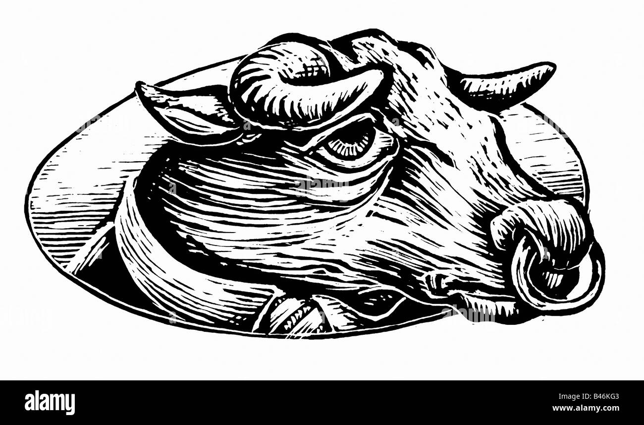 Illustration of a Bull's Head Stock Photo