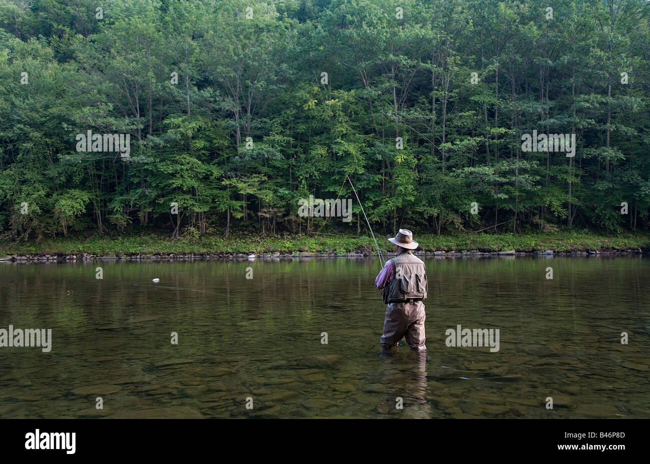 Man Fly Fishing, Cairns Pool, Beaverkill River, Catskill Park, New York,  USA Stock Photo - Alamy