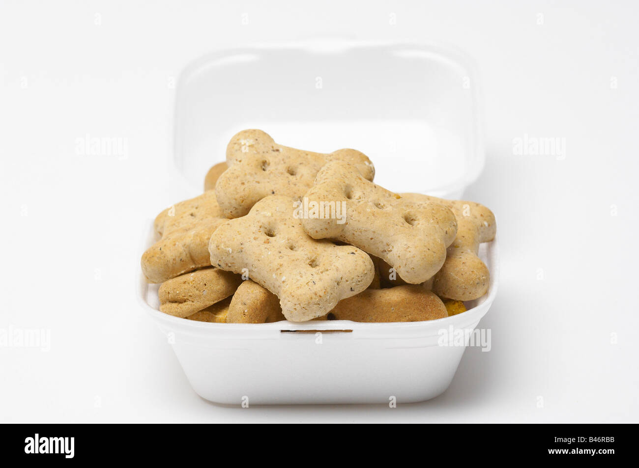 Dog Treats in Styrofoam Container Stock Photo Alamy