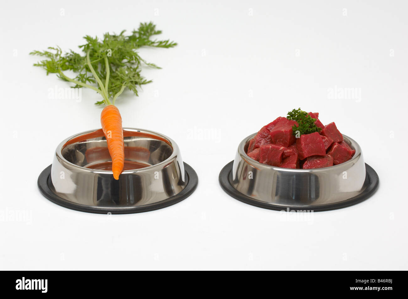 Carrot and Chopped Beef in Dog Bowls Stock Photo Alamy