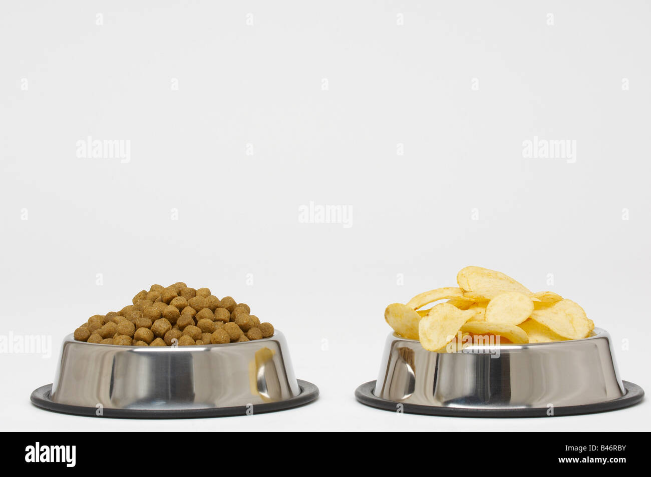 Dog Food and Potato Chips in Dog Bowls Stock Photo Alamy