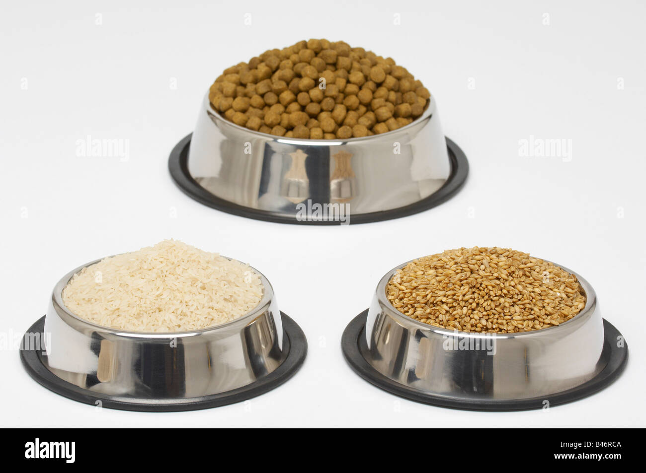 Dog Food, Rice, Grains, in Dog Bowls Stock Photo Alamy