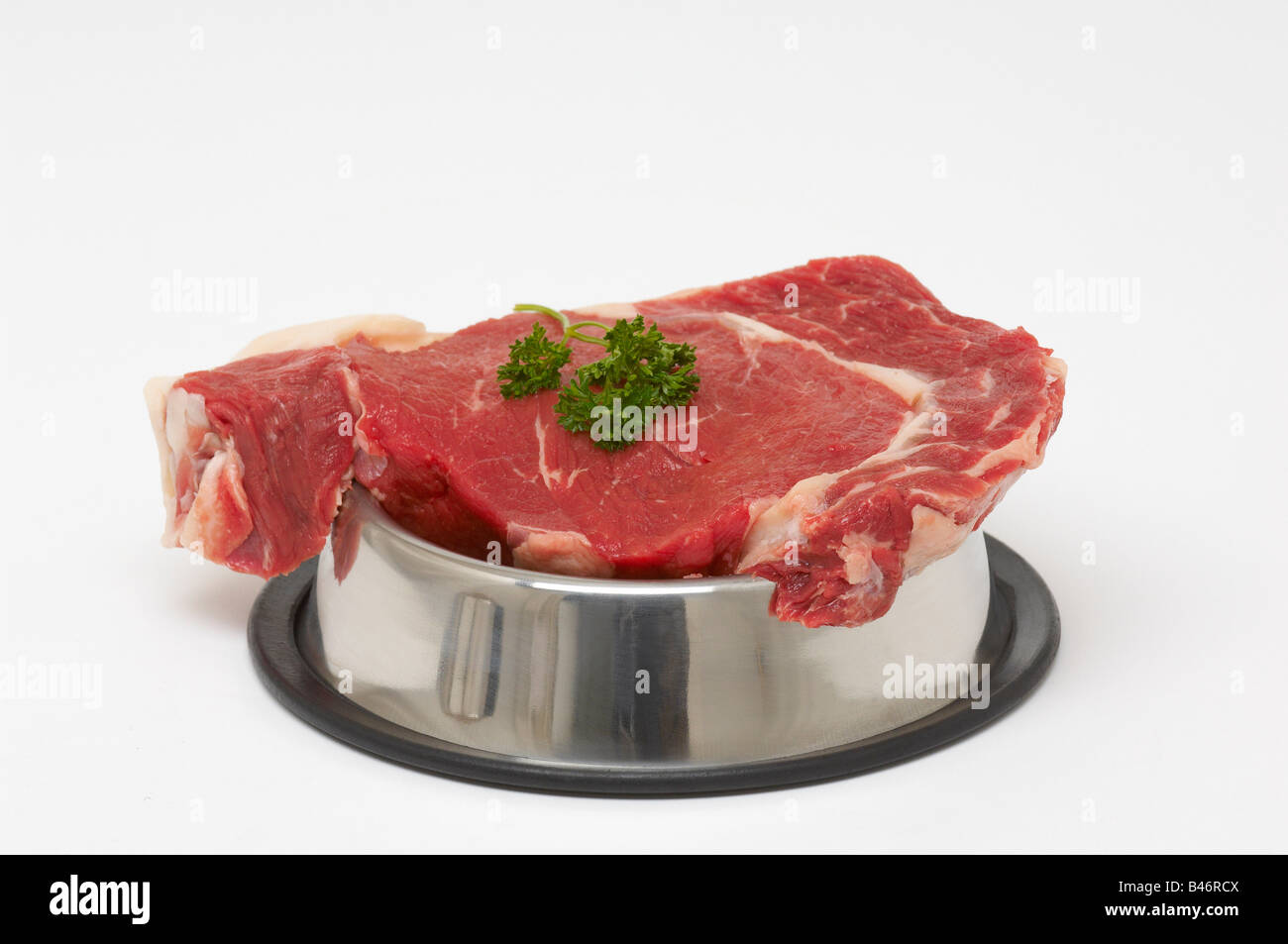 Is It Ok To Give My Dog Raw Steak