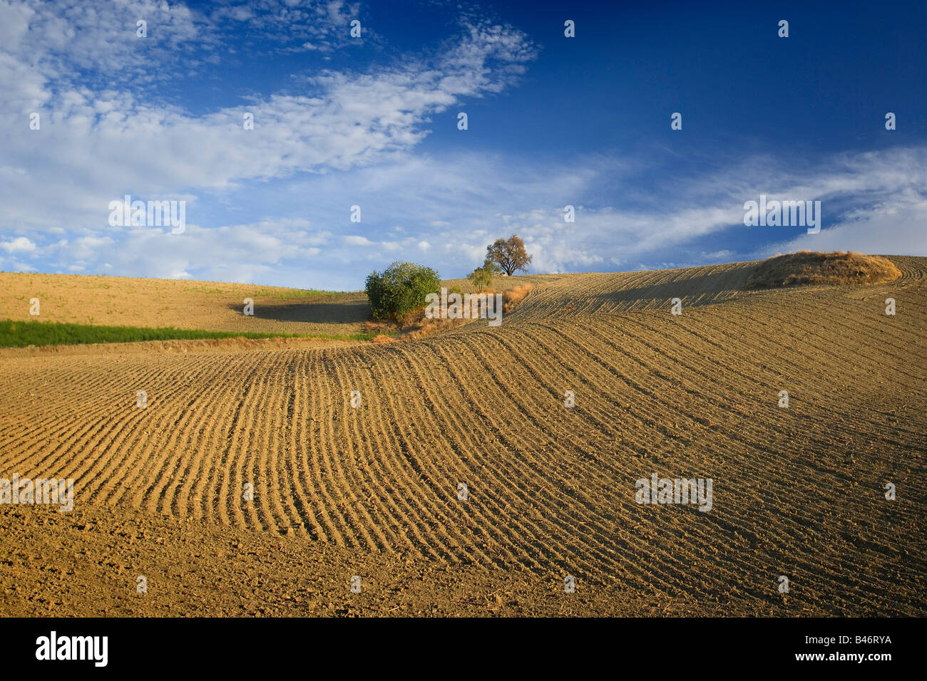 Overview of Farmland, Andalucia, Spain Stock Photo Alamy
