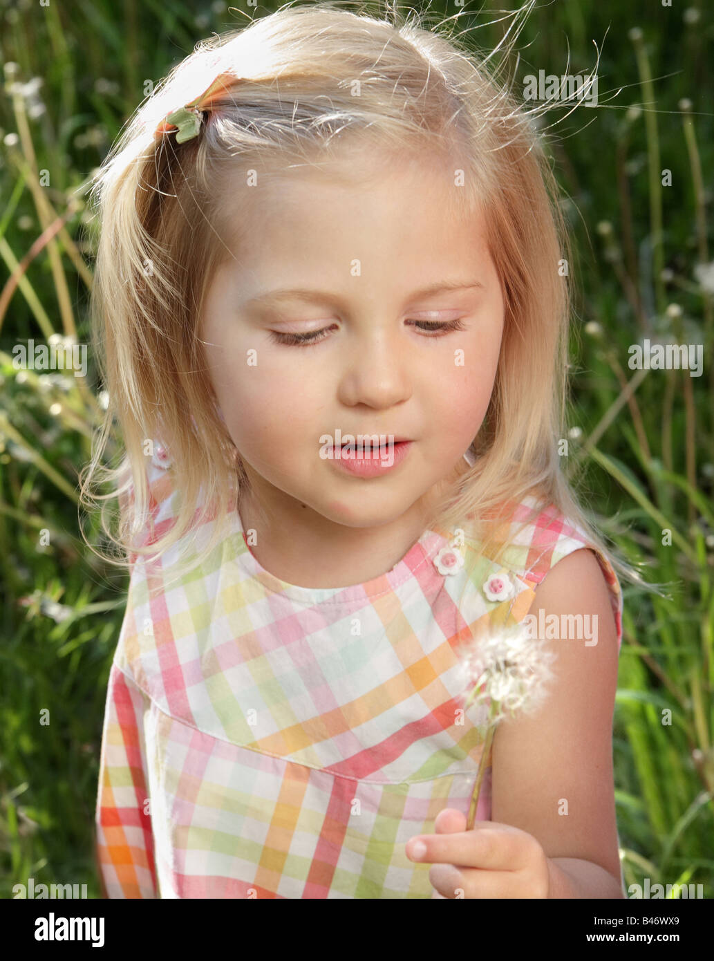 young girl playing with a dandelion Stock Photo - Alamy