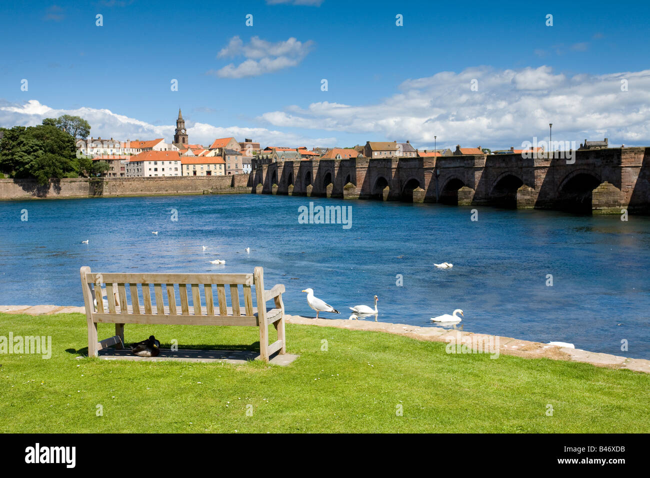 Berwick upon Tweed Northumberland Stock Photo Alamy