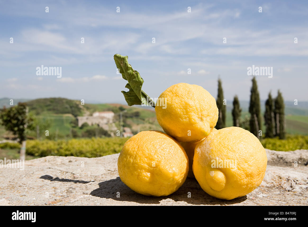 Sicilian Lemons