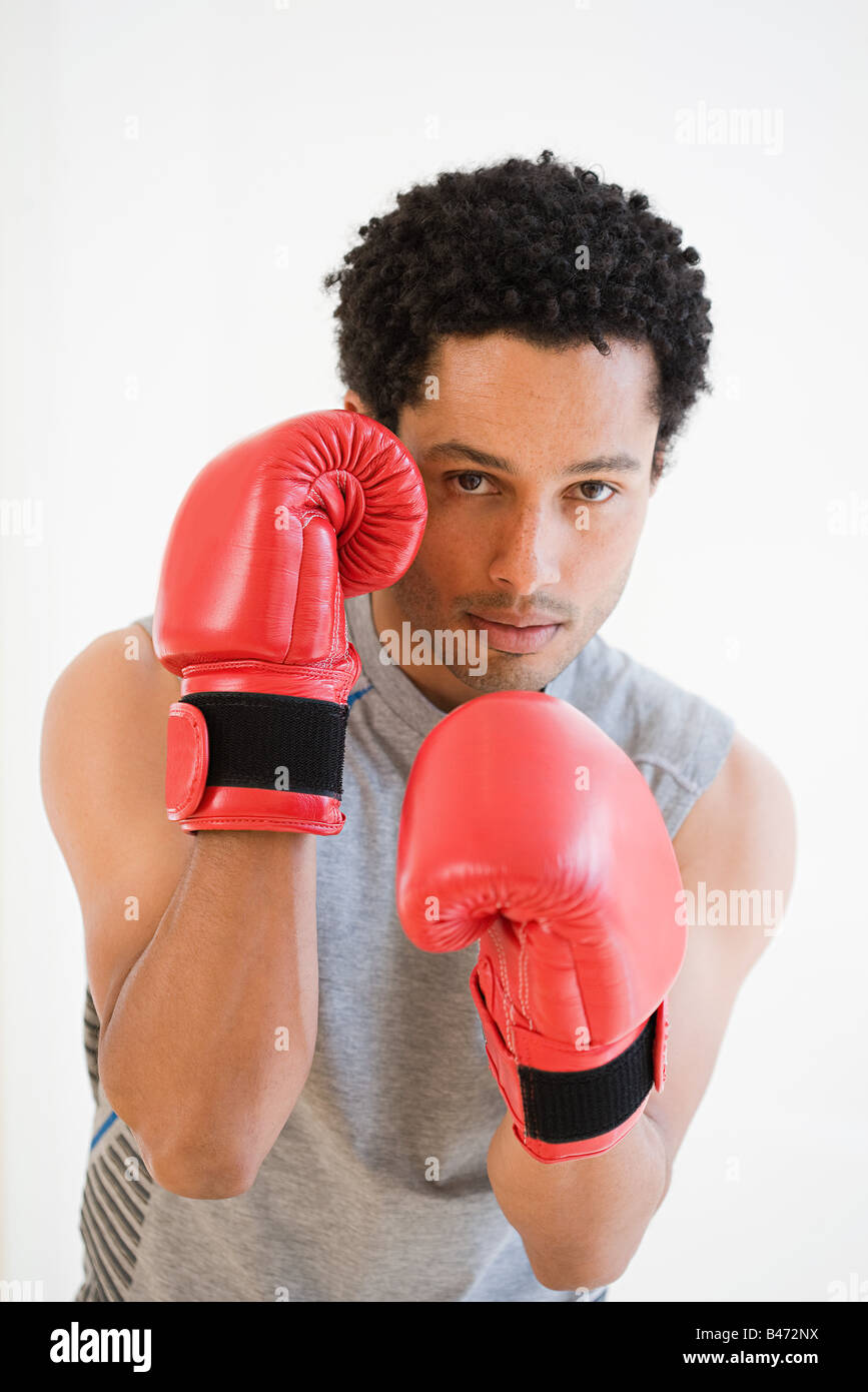 Boxer Stock Photo