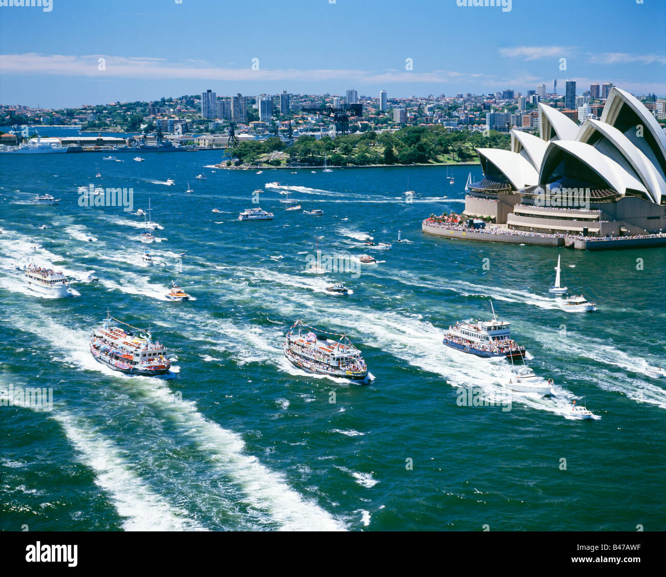 Ferry Boat Race Sydney Harbour New South Wales Australia Stock Photo