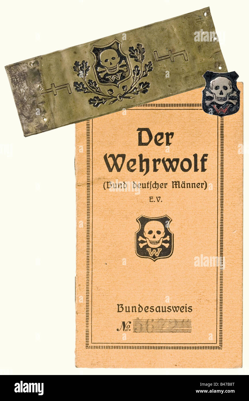 Weimar Republic, Der Wehrwolf (German Men's Association), a banner, a flag nail, and a member's book Banner, presumably for a local group. Black, doubled wool cloth, with appliquéd skull and crossbones, Iron Cross 1914, and two red 'W' ciphers (Wehrwolf). Fabric size 124 x 184 cm. Slight moth damage. A flag nail of stamped brass sheet metal, 100 x 35 mm with the Wehrwolf emblem and two wolfangel runes. There is also a member's book for the Großgörschen Subdistrict/Merseburg Region, Kötschau Local Group, begun in 1924 with an enamelled (damaged) membership pin. , Stock Photo