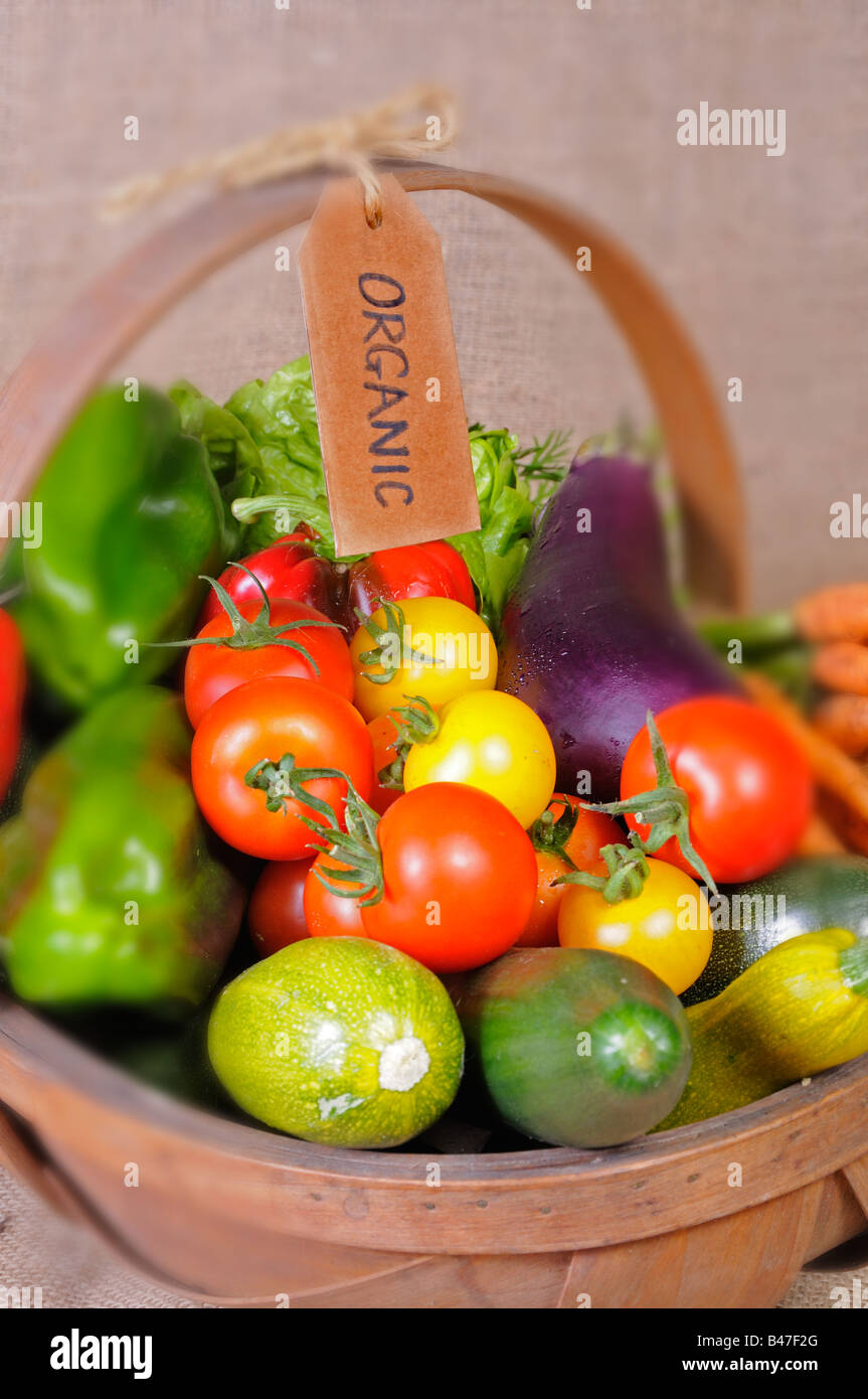 Freshly harvested home grown organic salad vegetables in rustic trug ...