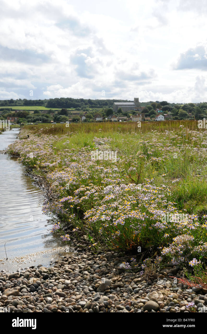 Salthouse marshes flowering with sea aster looking towards salthouse church and village Norfolk UK September Stock Photo