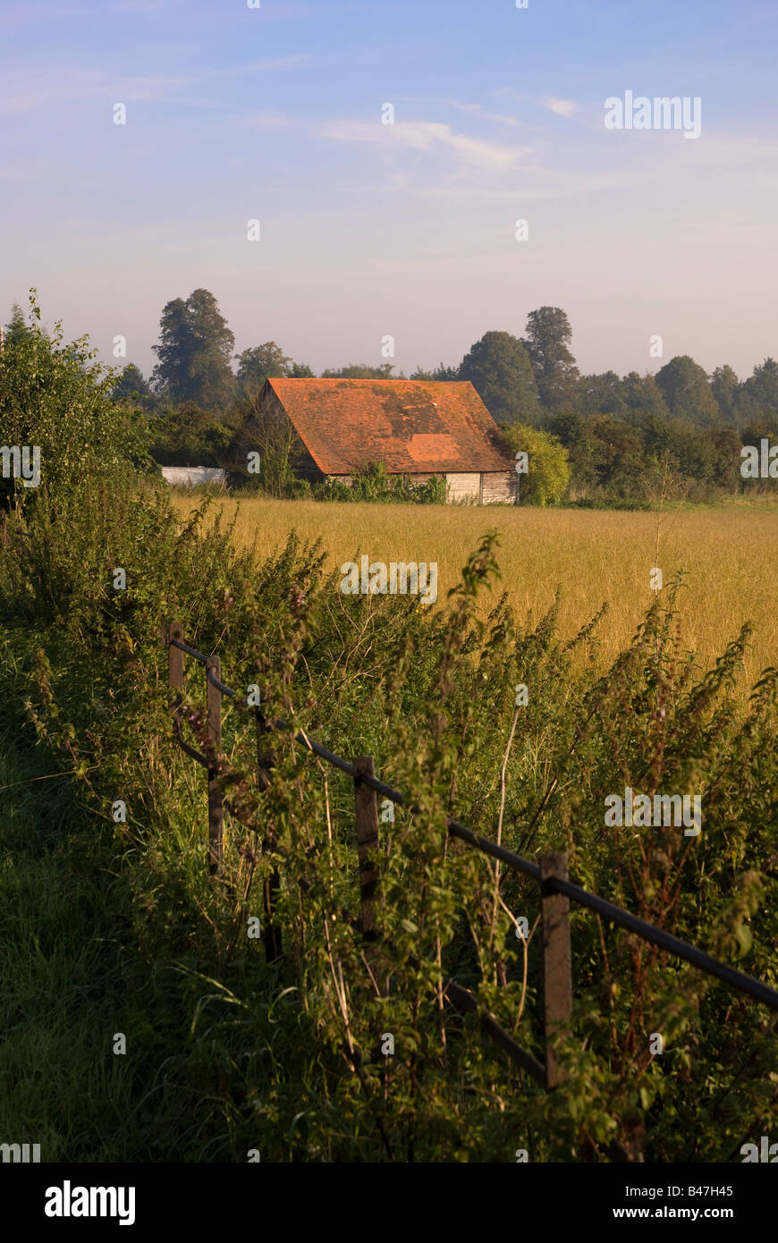 A barn and field in Great Bookham, Surrey, England Stock Photo Alamy