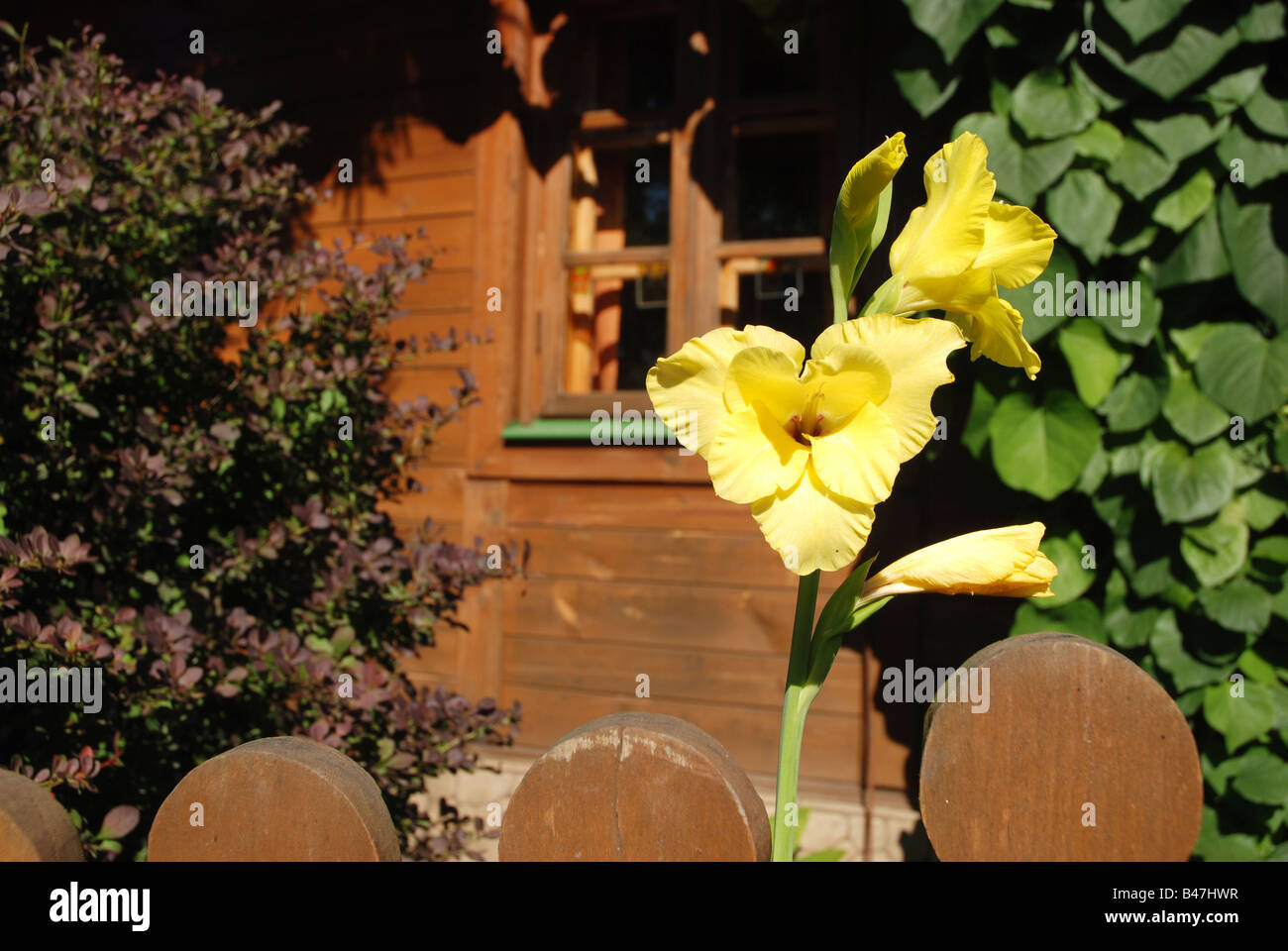 Garden summer house hi-res stock photography and images - Alamy