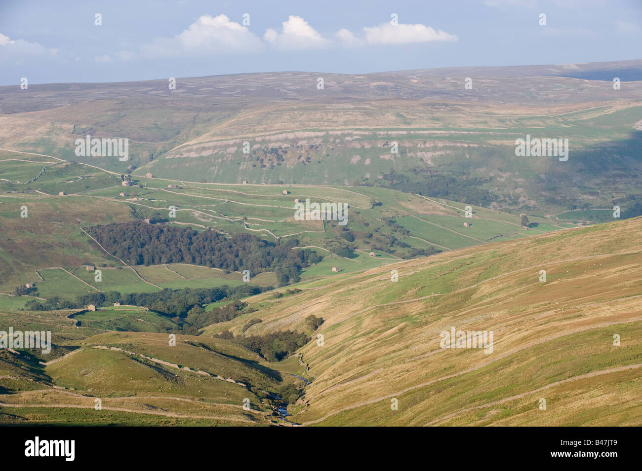 Barns and dry stone walls in Swaledale near Thwaite Yorkshire Dales National Park Stock Photo
