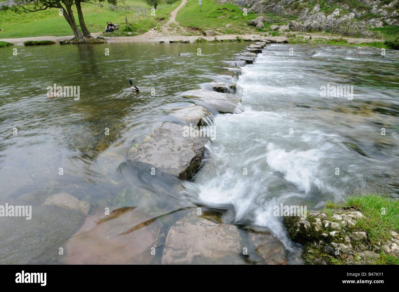 The Stepping Stones across the River Dove Dovedale Peak District National Park UK September Stock Photo