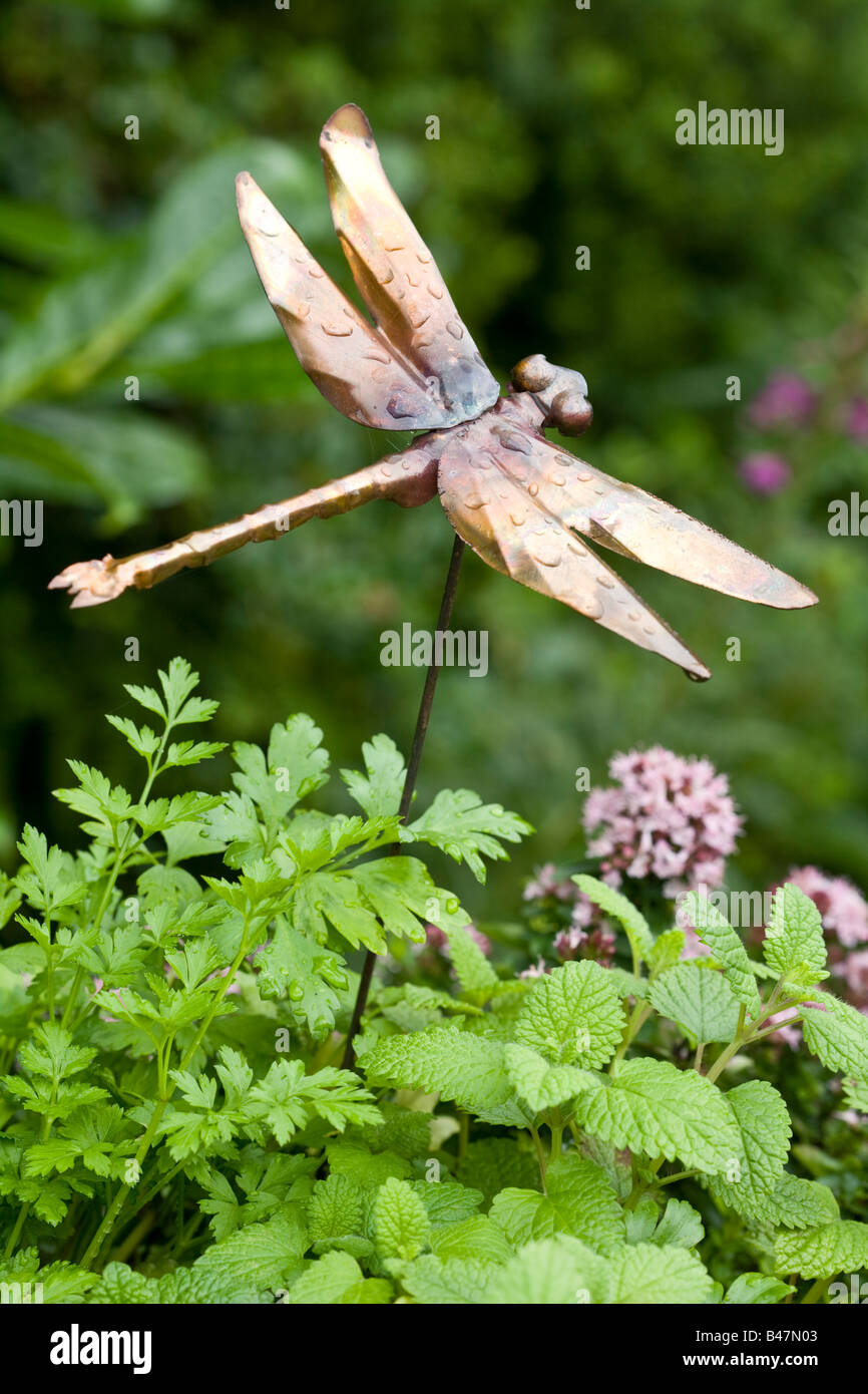 Ornamental Copper Dragonfly and Herbs Stock Photo Alamy